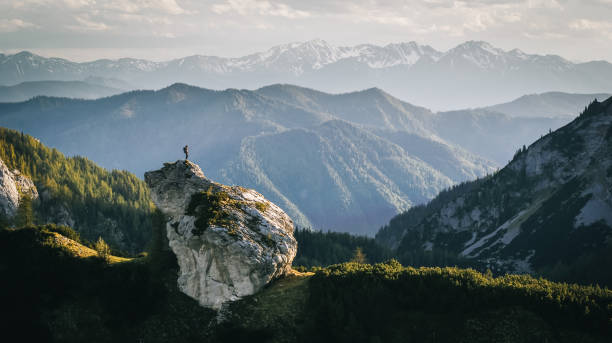 AI and nature background
